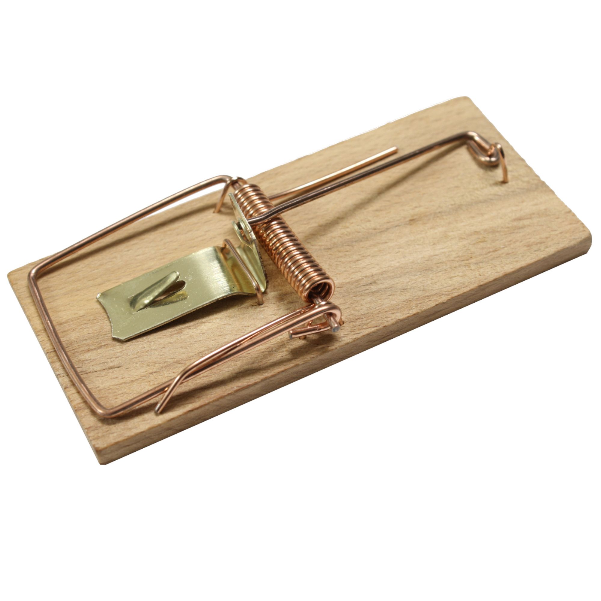 Past na myši dřevěná, 100x45mm, KDO 801