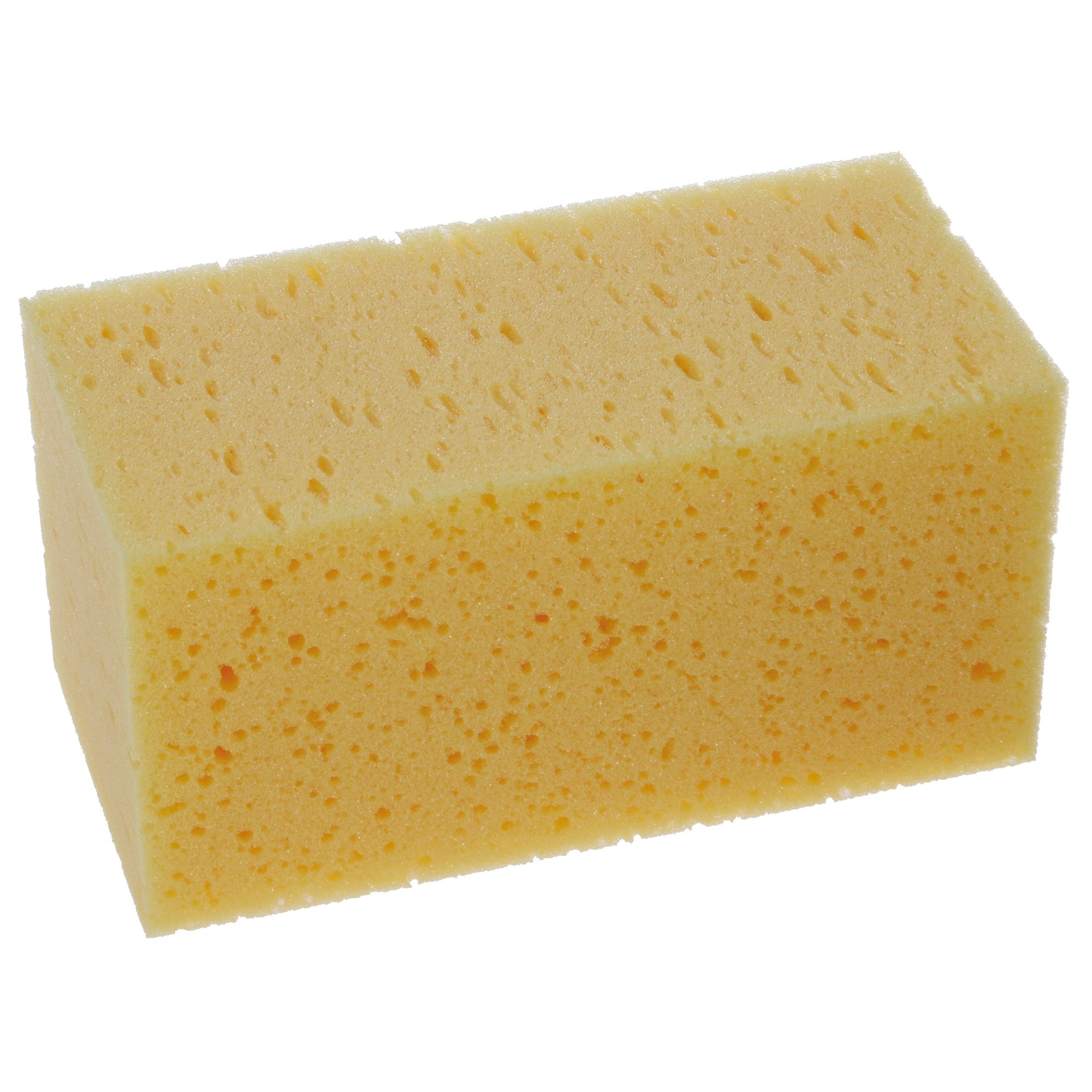 Houba vymývací mořská, 200x100x100mm