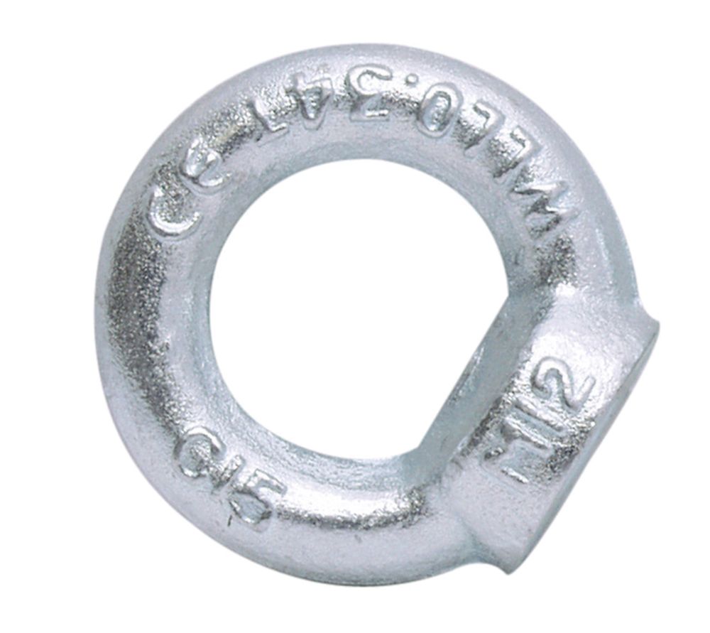 Matice závěsná, M10, DIN 582